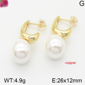 Fashion Copper Earrings  F5E300233bhia-J40