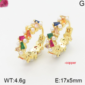 Fashion Copper Earrings  F5E400986vhnv-J40