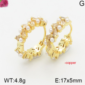 Fashion Copper Earrings  F5E400987vhnv-J40