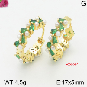 Fashion Copper Earrings  F5E400988vhnv-J40