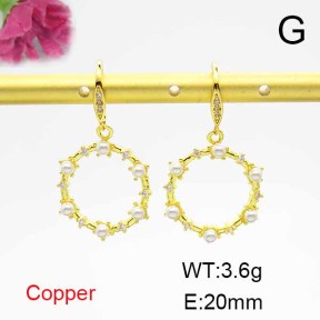 Fashion Copper Earrings  F6E403924bbov-L024