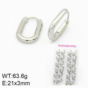 Stainless Steel Earrings  2E2001083akoa-689