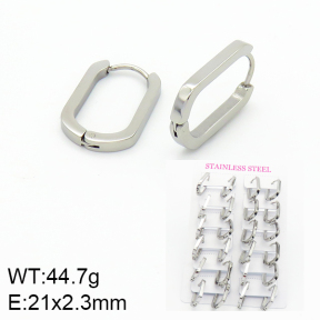 Stainless Steel Earrings  2E2001084ajma-689