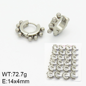 Stainless Steel Earrings  2E2001086aiov-689