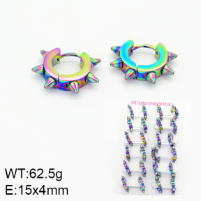 Stainless Steel Earrings  2E2001088ajia-689