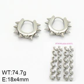 Stainless Steel Earrings  2E2001090ajha-689