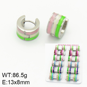 Stainless Steel Earrings  2E3000782akia-689