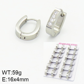 Stainless Steel Earrings  2E4001472alka-689