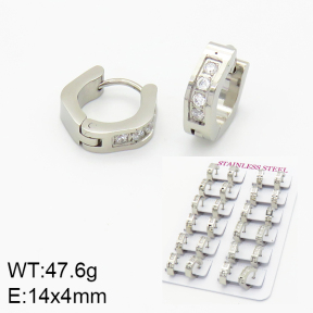 Stainless Steel Earrings  2E4001474alka-689