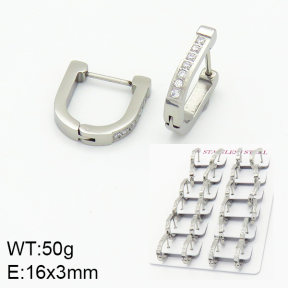 Stainless Steel Earrings  2E4001478bpmb-689