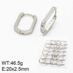 Stainless Steel Earrings  2E4001479hbob-689