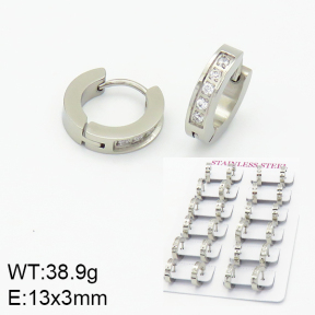 Stainless Steel Earrings  2E4001487alka-689