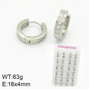 Stainless Steel Earrings  2E4001494amaa-689