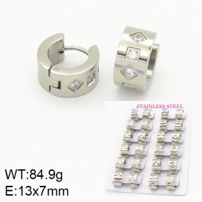 Stainless Steel Earrings  2E4001495alha-689