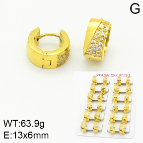 Stainless Steel Earrings  2E4001507hmib-689