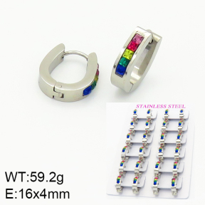 Stainless Steel Earrings  2E4001515albv-689
