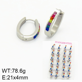 Stainless Steel Earrings  2E4001517bmmb-689