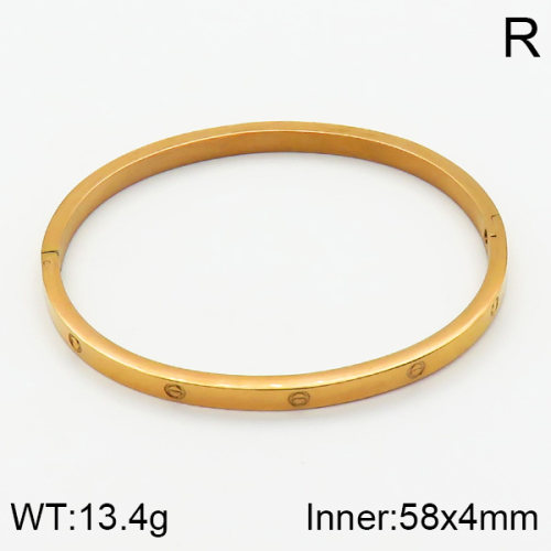 SS Bangles  TZ2000119bhva-239