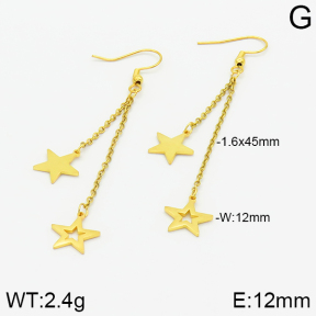 Stainless Steel Earrings  2E2001121aaji-731