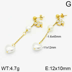 Stainless Steel Earrings  2E3000784baka-731