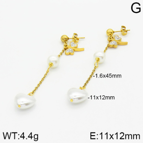 Stainless Steel Earrings  2E3000785baka-731