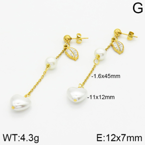 Stainless Steel Earrings  2E3000786baka-731