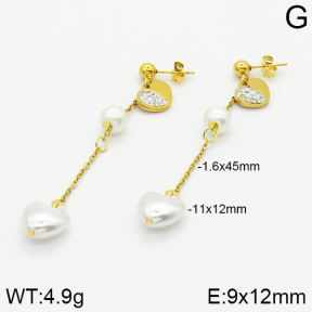 Stainless Steel Earrings  2E3000787baka-731