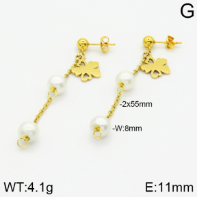 Stainless Steel Earrings  2E3000788aaji-731