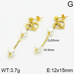 Stainless Steel Earrings  2E3000790aaji-731