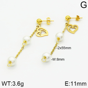 Stainless Steel Earrings  2E3000791aaji-731