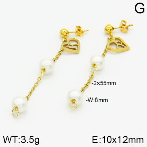 Stainless Steel Earrings  2E3000799aaji-731