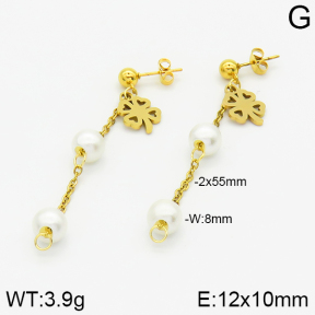 Stainless Steel Earrings  2E3000801aaji-731