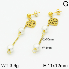 Stainless Steel Earrings  2E3000802aaji-731