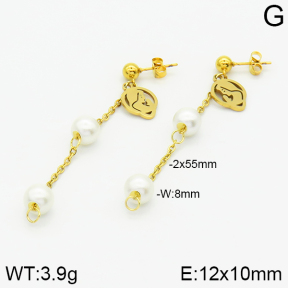 Stainless Steel Earrings  2E3000803aaji-731