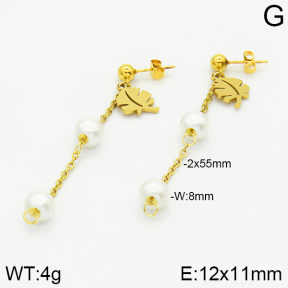 Stainless Steel Earrings  2E3000805aaji-731