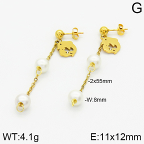 Stainless Steel Earrings  2E3000807aaji-731