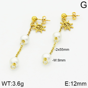 Stainless Steel Earrings  2E3000809aaji-731