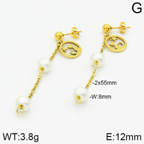 Stainless Steel Earrings  2E3000810aaji-731