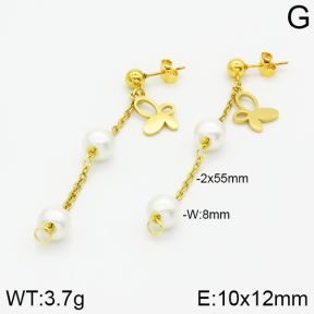 Stainless Steel Earrings  2E3000811aaji-731