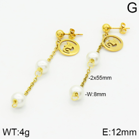 Stainless Steel Earrings  2E3000813aaji-731