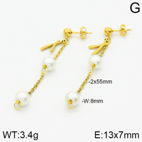 Stainless Steel Earrings  2E3000814aaji-731