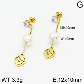 Stainless Steel Earrings  2E3000818aaji-731