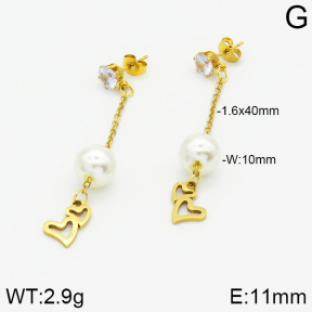 Stainless Steel Earrings  2E3000820aaji-731