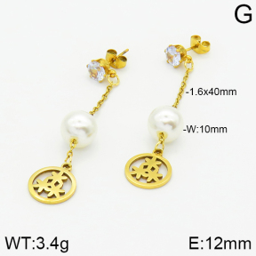 Stainless Steel Earrings  2E3000821aaji-731