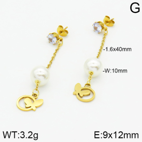 Stainless Steel Earrings  2E3000822aaji-731