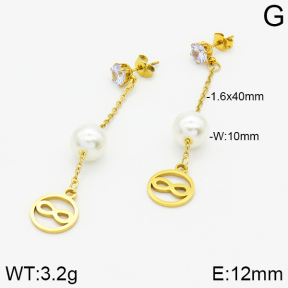 Stainless Steel Earrings  2E3000823aaji-731