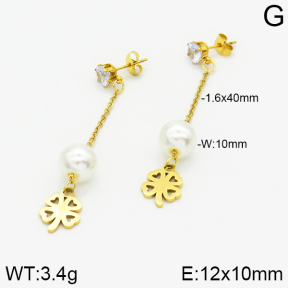 Stainless Steel Earrings  2E3000826aaji-731