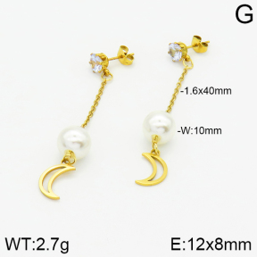 Stainless Steel Earrings  2E3000827aaji-731