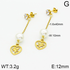 Stainless Steel Earrings  2E3000828aaji-731