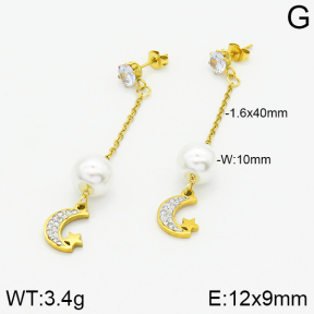 Stainless Steel Earrings  2E3000829baka-731